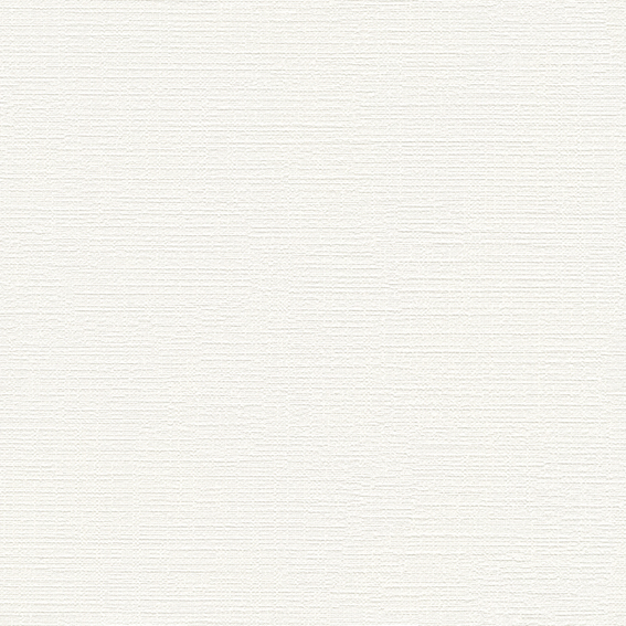 シンコール壁紙 BB2084