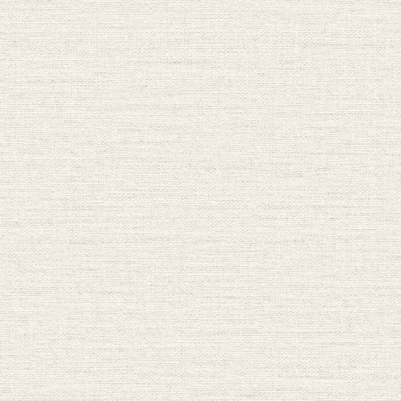 シンコール壁紙 BB2096