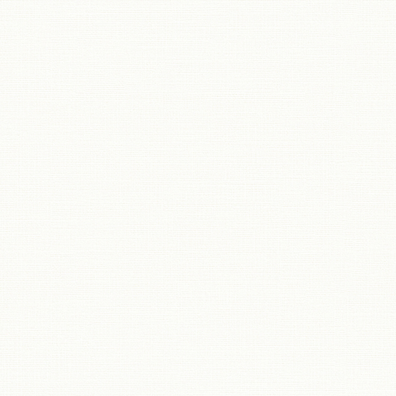 シンコール壁紙 BB2107