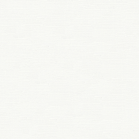 シンコール壁紙 BB2111