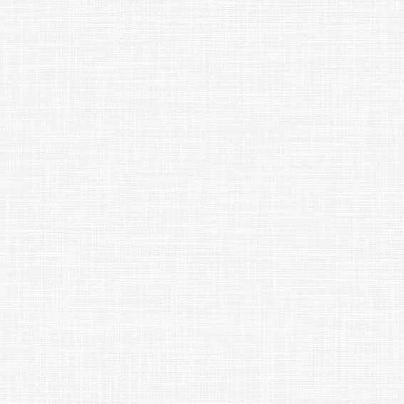 シンコール壁紙 BB2113