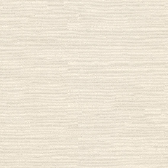 シンコール壁紙 BB2143