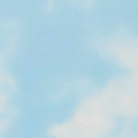 シンコール壁紙 BB2686