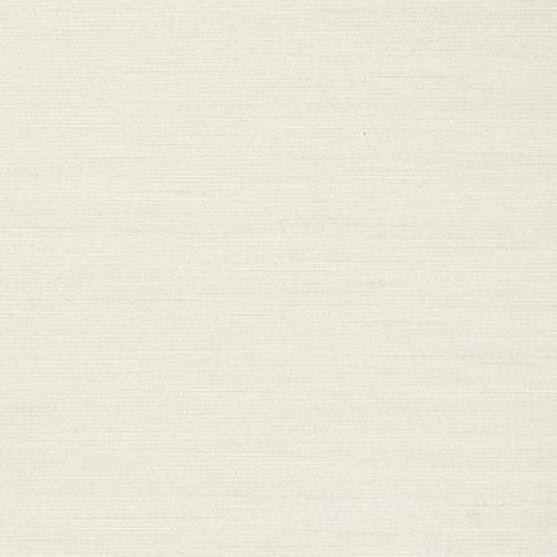 ルノン壁紙 C252047