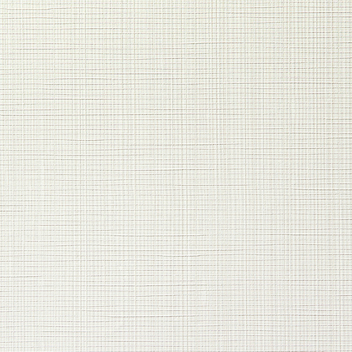 ルノン壁紙 C252096