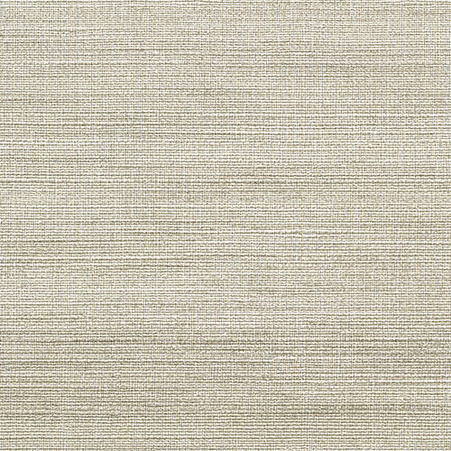 ルノン壁紙 C252236