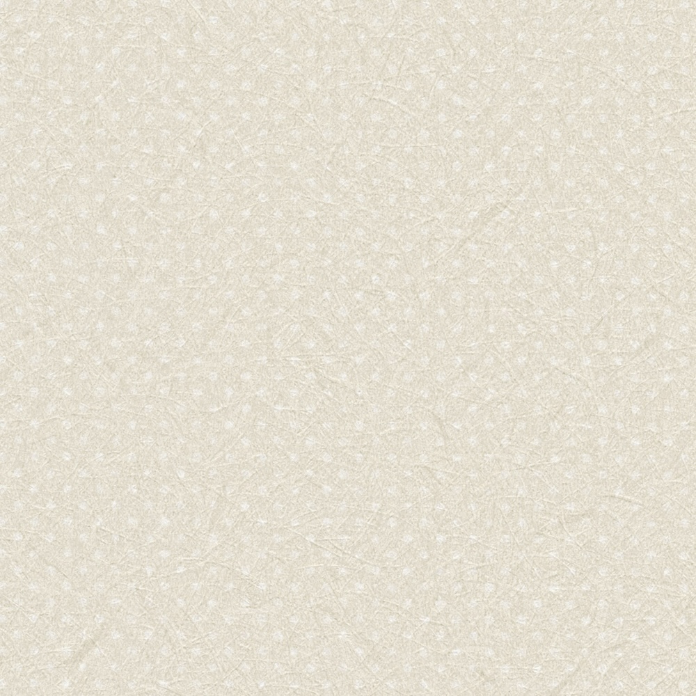 リリカラ壁紙 LL6247