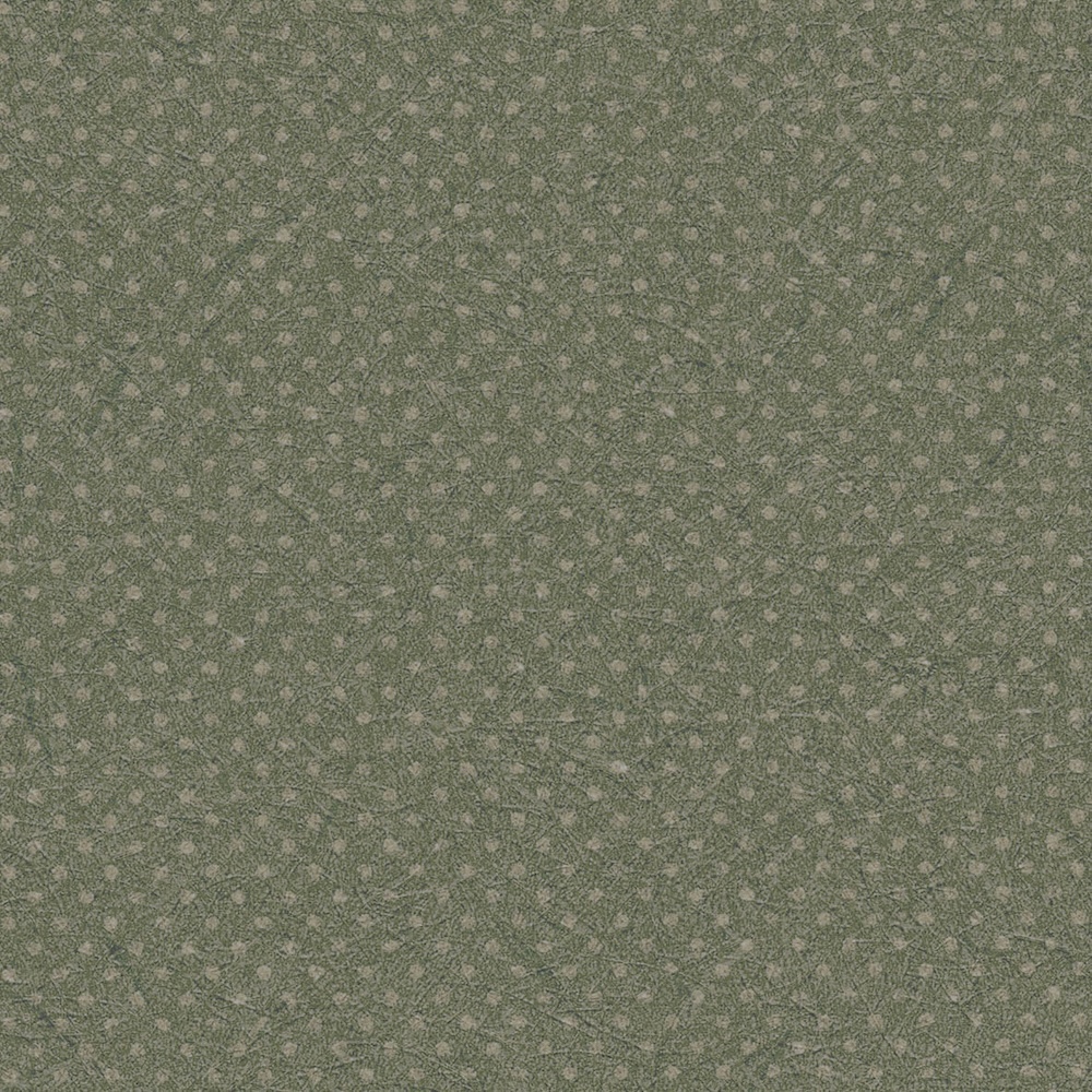 リリカラ壁紙 LL6249