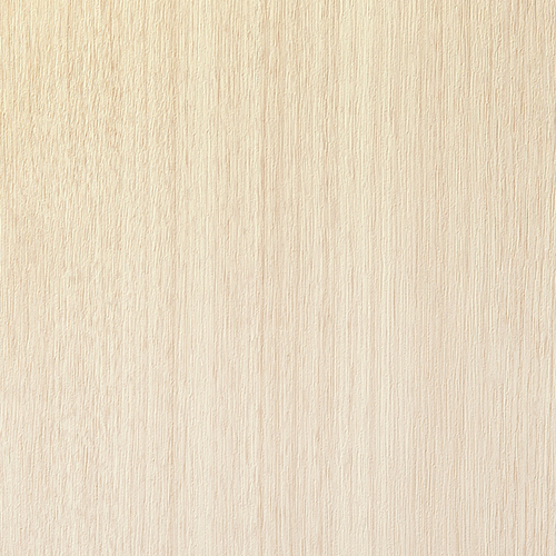 ルノン壁紙 RF3079