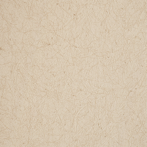 ルノン壁紙 RF3133