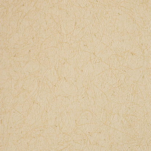 ルノン壁紙 RF3134