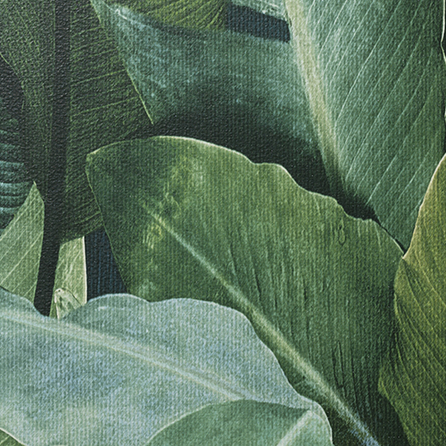 ルノン壁紙 RF3160