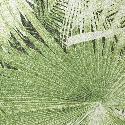 ルノン壁紙 RF3161