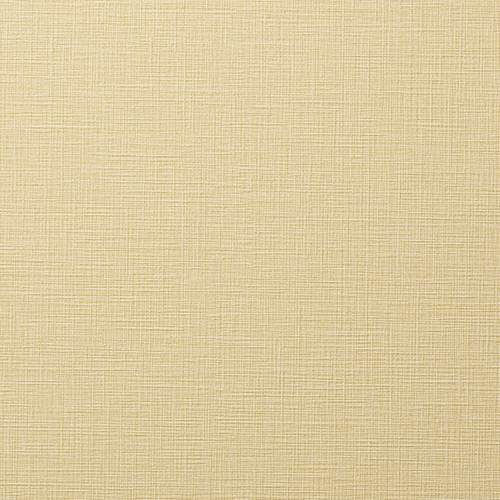 ルノン壁紙 RF3269