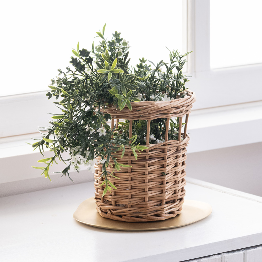 ローズマリーホワイトフラワー